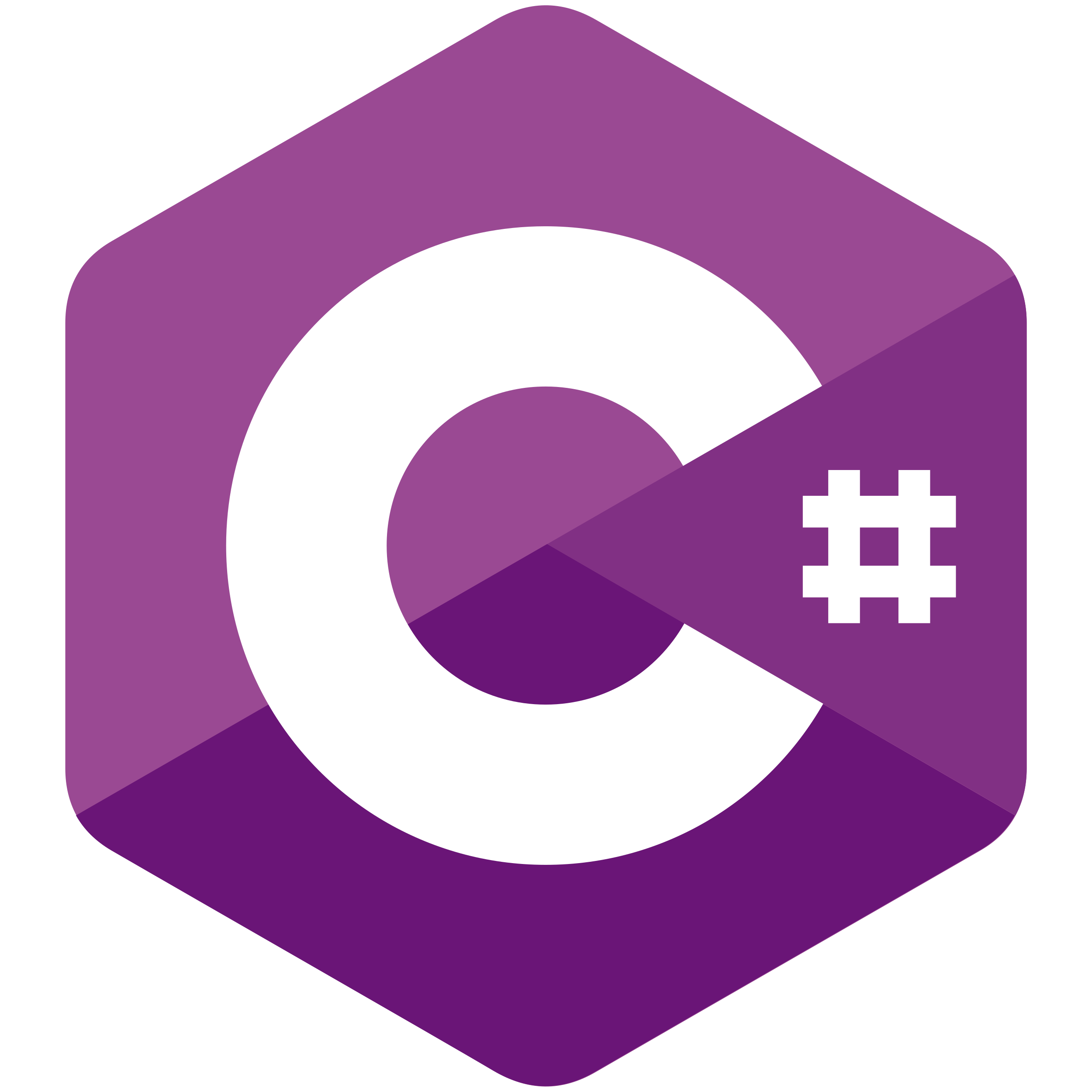 Hire C# Developer